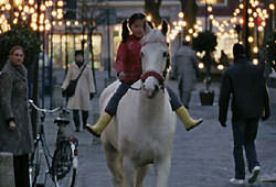 Het Paard van Sinterklaas